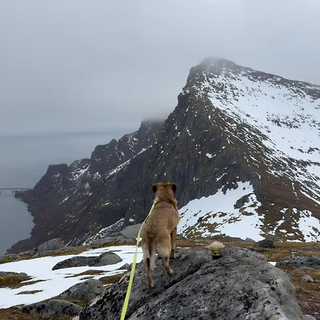 Vandrarhem The Whole House - Lowfo Lofoten